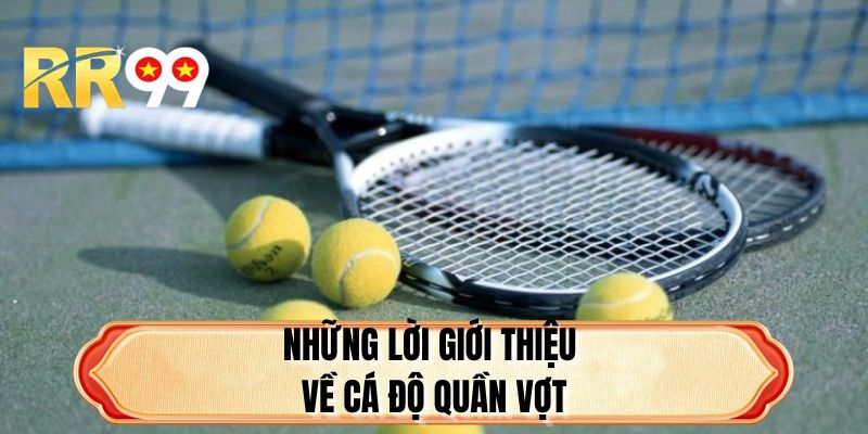 Những lời giới thiệu về cá độ quần vợt