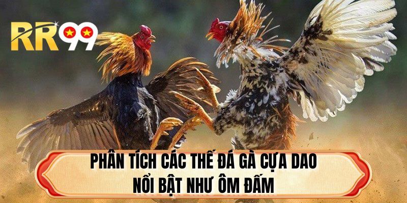 Phân tích các thế đá gà cựa dao nổi bật như ôm đấm