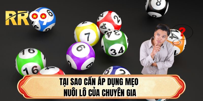 Tại sao cần áp dụng mẹo nuôi lô của chuyên gia?