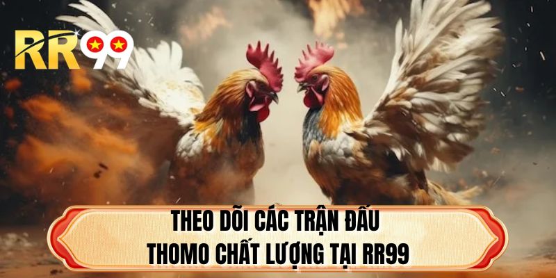 Theo dõi các trận đấu Thomo chất lượng tại RR99